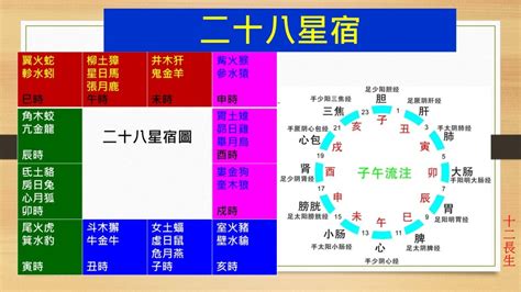 帝旺|長生十二神【帝旺】坐命盤十二宮